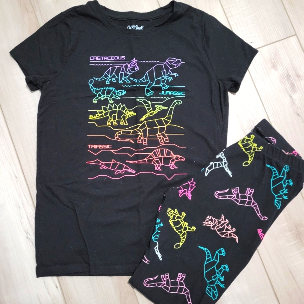 Cat & Jack girls outfit